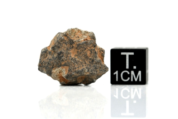 NWA 11407 Mond Meteorit - 2,216 g