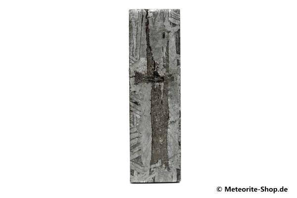 Aletai Meteorit - 14,20 g