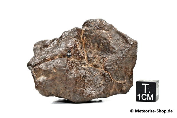 Taoudenni 003 Meteorit - 82,30 g