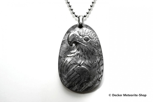 Stein-Eisen-Meteorit-Anhänger (Seymchan | Scheibe | Adler Carved Amulett) - 49,20 g
