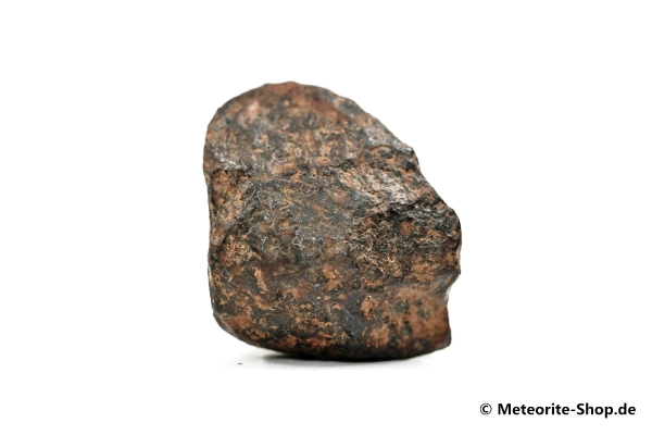 Agoudal Meteorit - 17,70 g