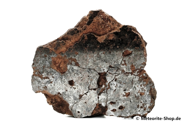 Vaca Muerta Meteorit - 41,80 g