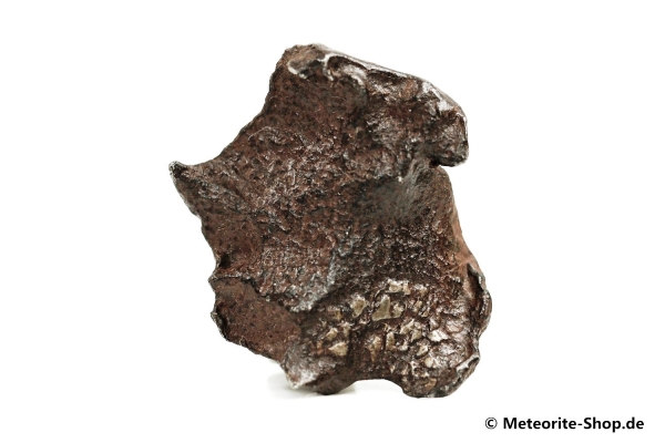 Gebel Kamil Meteorit - 45,70 g