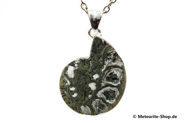 Ammonit-Anhänger (Fossil | Scheibe | 925er Silber) - 9,90 g