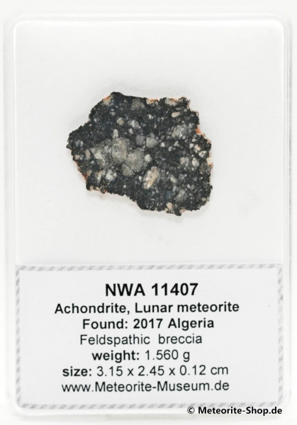 NWA 11407 Mond Meteorit - 1,560 g