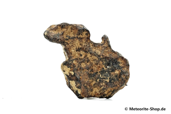 Agoudal Meteorit - 18,80 g