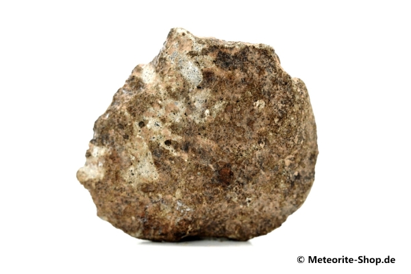 Zagora 011 Meteorit - 16,90 g