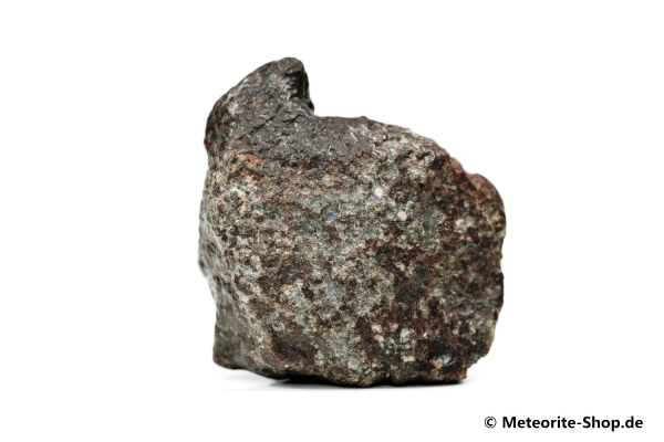 NWA 869 Meteorit - 42,10 g