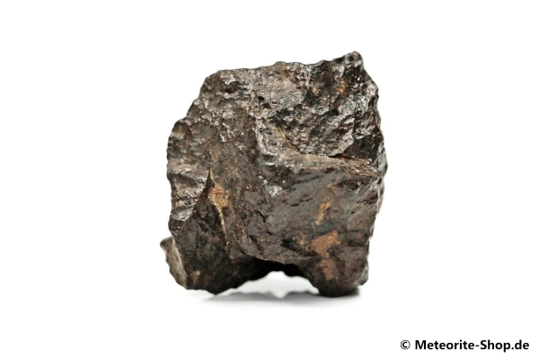 NWA Westsahara Meteorit - 55,20 g