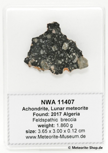 NWA 11407 Mond Meteorit - 1,860 g