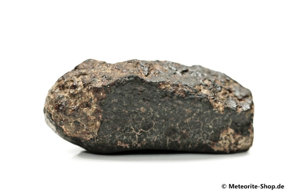 NWA 869 Meteorit - 46,60 g