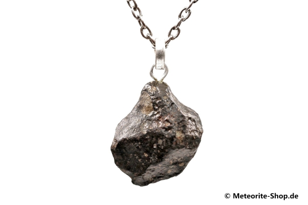Stein-Meteorit-Anhänger (NWA 869 | Natura | 925er Silber) - 6,90 g