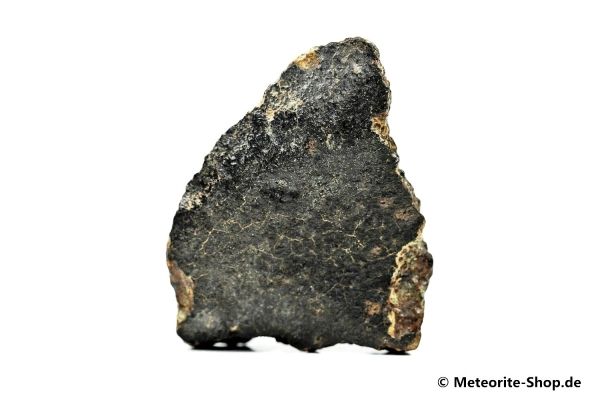Alnif Meteorit - 43,40 g