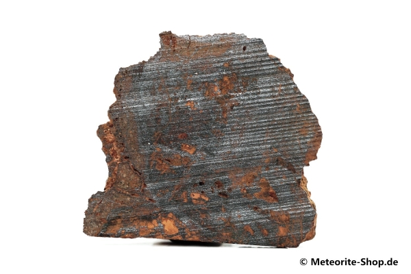 Santa Catharina Meteorit - 6,00 g