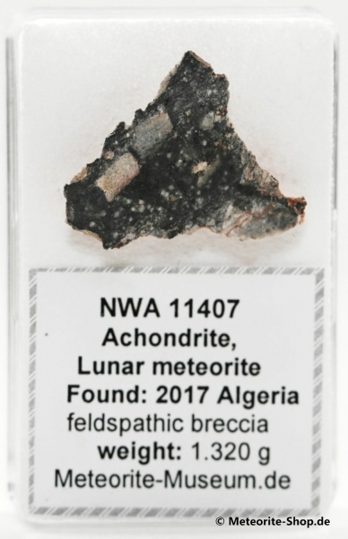 NWA 11407 Mond Meteorit - 1,320 g