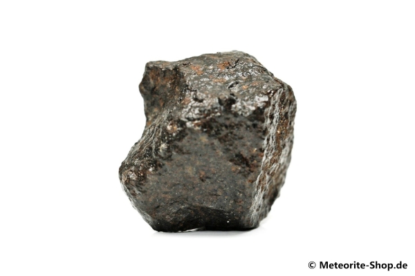 NWA Westsahara Meteorit - 65,00 g