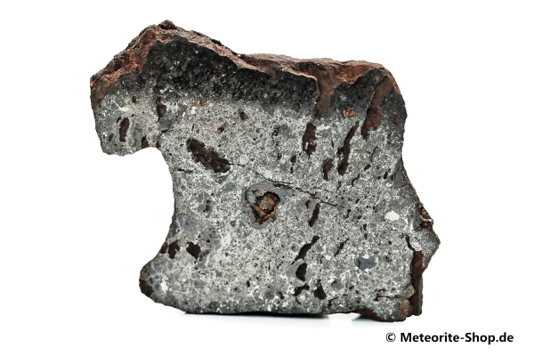 Vaca Muerta Meteorit - 43,50 g