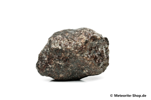 NWA 869 Meteorit - 46,30 g