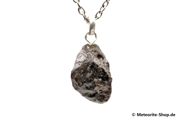 Stein-Meteorit-Anhänger (NWA 869 | Natura | 925er Silber) - 7,40 g