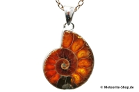 Ammonit-Anhänger (Fossil & Citrin | Scheibe | 925er Silber) - 6,20 g Ammonit-Anhänger (Fossil & Citrin | Scheibe | 925er Silber) - 6,20 g