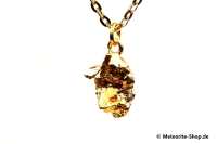 Eisen-Meteorit-Anhänger (Campo del Cielo | Natura | Vergoldet) - 4,60 g Eisen-Meteorit-Anhänger (Campo del Cielo | Natura | Vergoldet) - 4,60 g