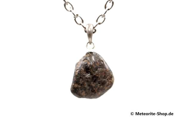 Stein-Meteorit-Anhänger (NWA 869 | Natura | 925er Silber) - 2,50 g