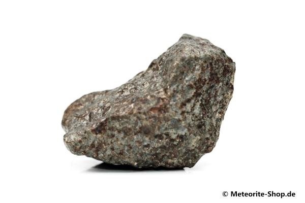 NWA 869 Meteorit - 53,30 g
