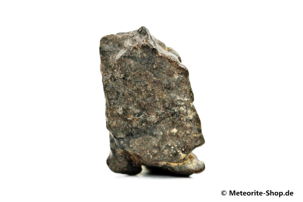 NWA Zagora Meteorit - 10,70 g
