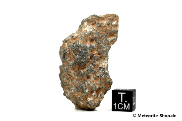 NWA 11407 Mond Meteorit - 25,25 g