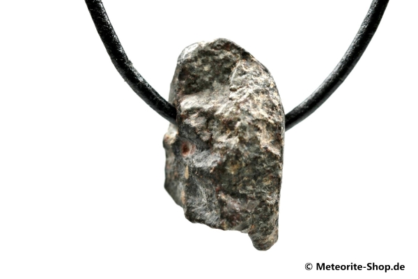 Stein-Meteorit-Anhänger (NWA 869 | Natura) - 9,30 g