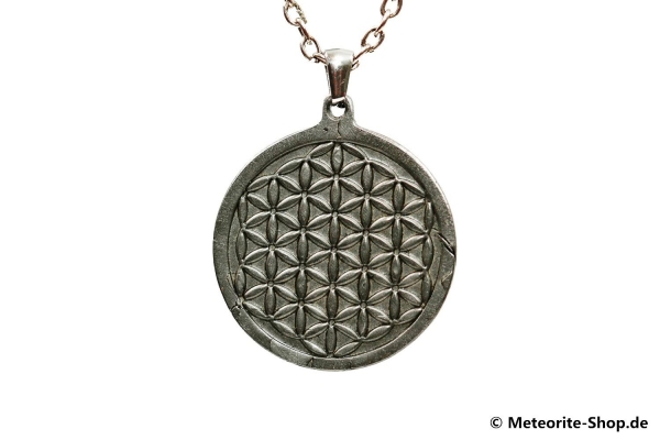 Eisen-Meteorit-Anhänger (Muonionalusta | Scheibe|Blume des Lebens Carved Amulett) - 12,30 g
