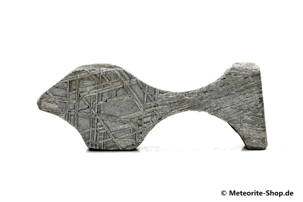 Muonionalusta Meteorit - 25,20 g