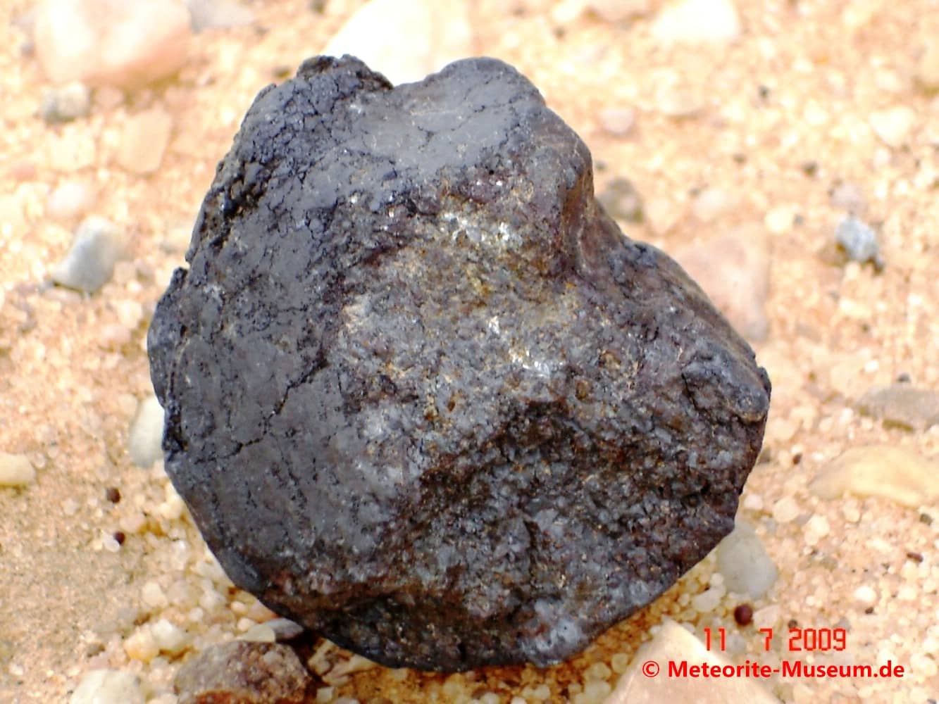 Nahaufnahme eines Almahata Sitta Meteorit Bruchstück mit schwarzer Schmelzkruste