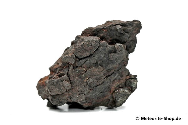 Vaca Muerta Meteorit - 20,70 g
