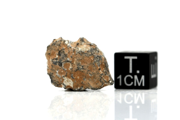 NWA 11407 Mond Meteorit - 2,710 g