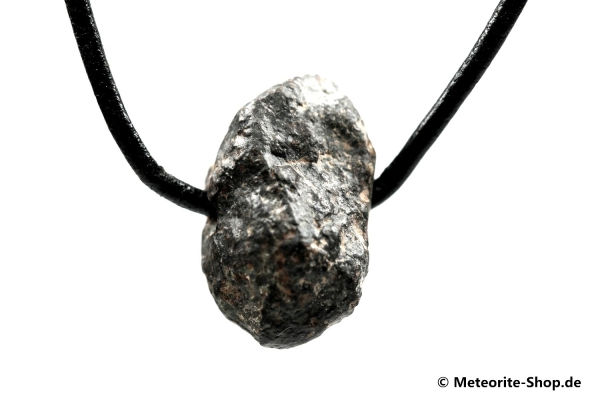 Stein-Meteorit-Anhänger (NWA 869 | Natura) - 7,50 g