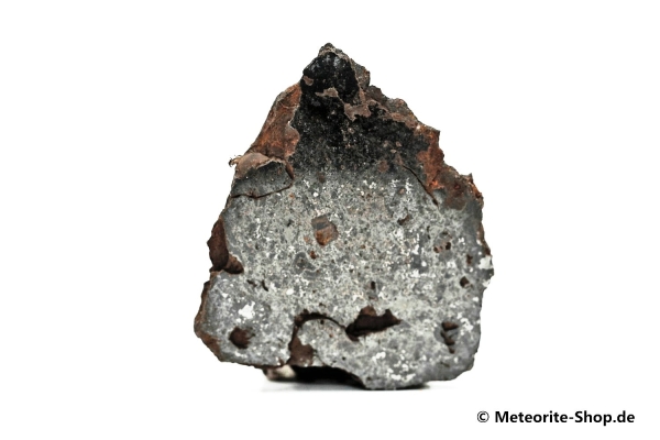 Vaca Muerta Meteorit - 11,70 g