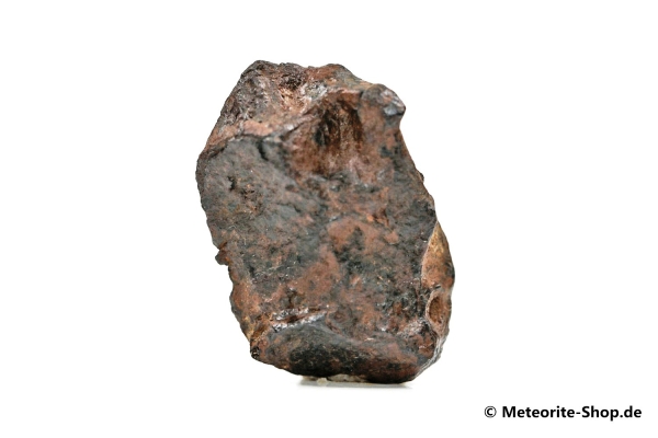 NWA 859 Meteorit - 7,40 g