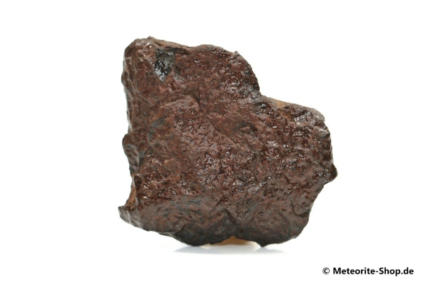 NWA Westsahara Meteorit - 24,20 g