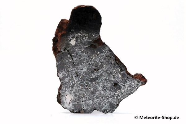Vaca Muerta Meteorit - 19,30 g