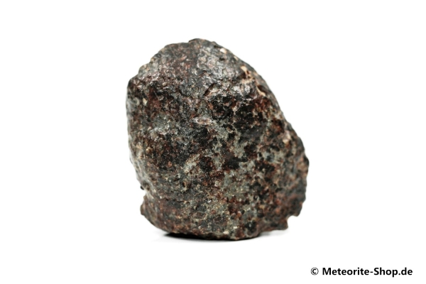 NWA 869 Meteorit - 24,30 g