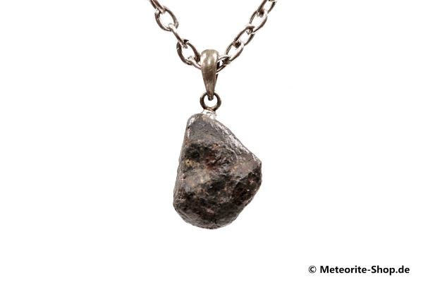 Stein-Meteorit-Anhänger (NWA 869 | Natura | 925er Silber) - 2,20 g