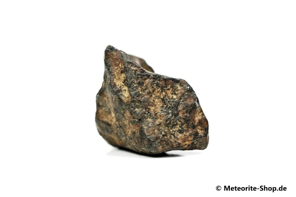 NWA 859 Meteorit - 12,50 g