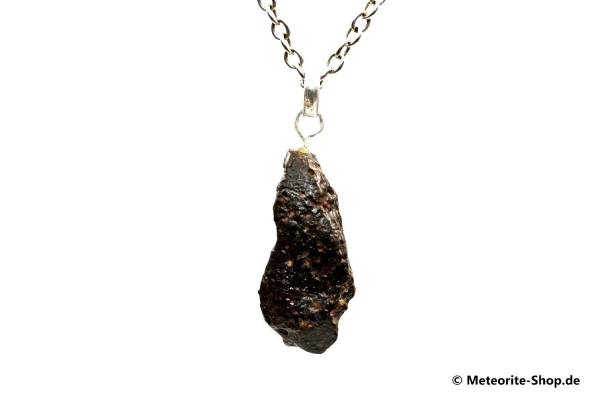 Stein-Meteorit-Anhänger (NWA 869 | Natura | 925er Silber) - 7,15 g