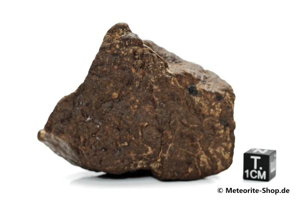 NWA Sahara Meteorit - 196,60 g