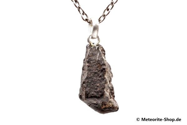 Stein-Meteorit-Anhänger (NWA 869 | Natura | 925er Silber) - 4,60 g