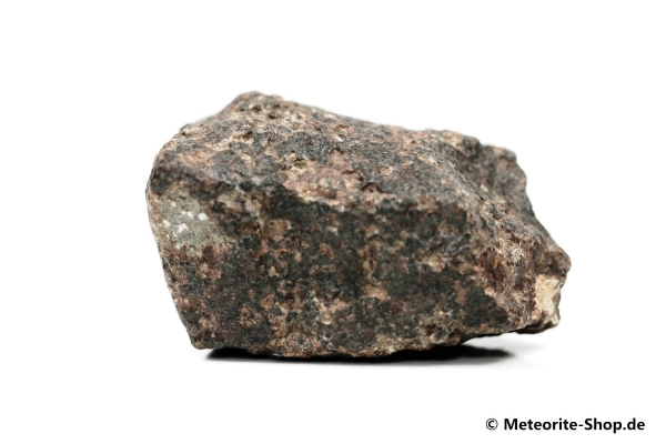 NWA 869 Meteorit - 82,10 g