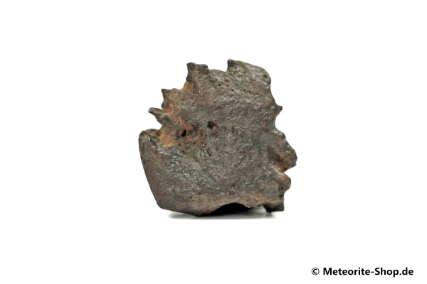 Golden Pallasite Meteorit (gepairt mit NWA 7788) - 2,40 g