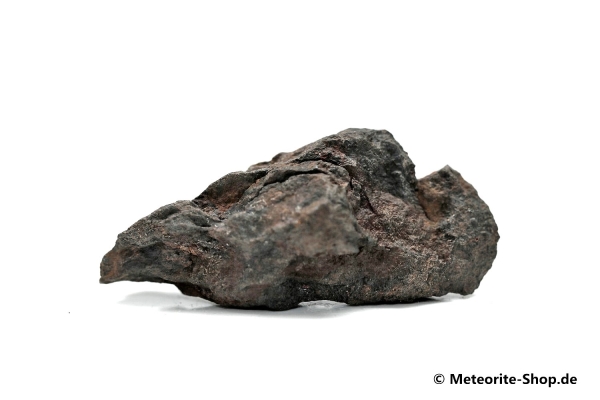 Vaca Muerta Meteorit - 11,60 g