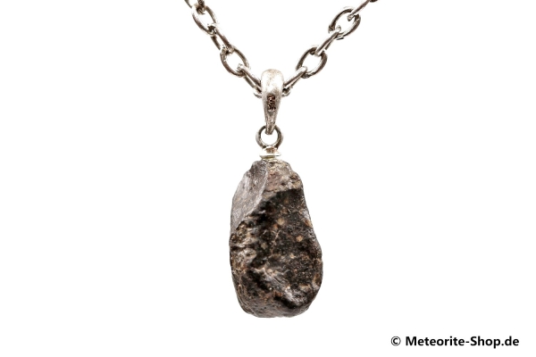 Stein-Meteorit-Anhänger (NWA 869 | Natura | 925er Silber) - 2,00 g